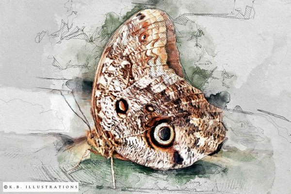 Mixed Media Digital Illustration - Image 3