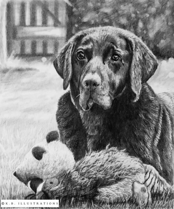Animal Graphite Drawing - Image 4